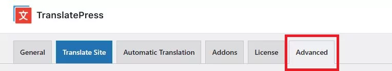 Advanced Tab from TranslatePress Settings
