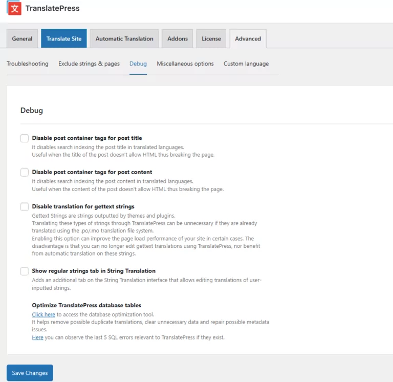 Debug Section From TranslatePress Settings Advanced tab