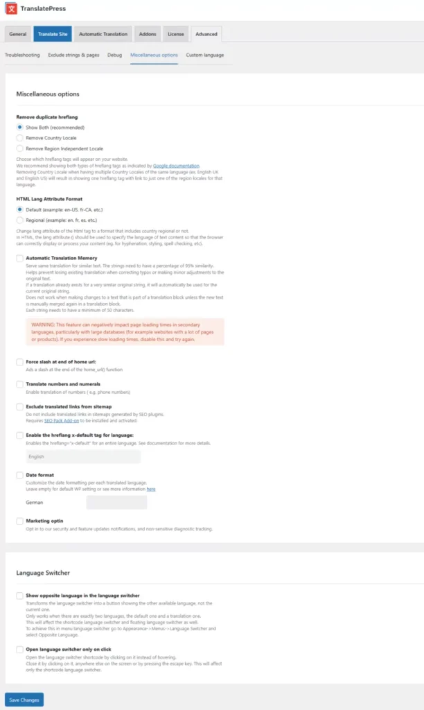 Debug Section From TranslatePress Settings Advanced tab