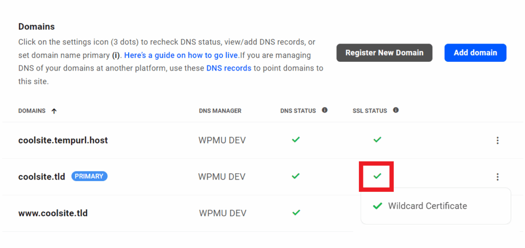 Hub 2.0 showing wildcard SSL certificate issued to a domain