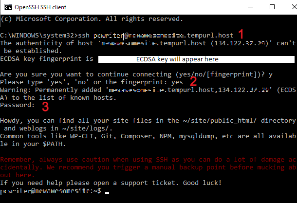 Shell SSH ouvert